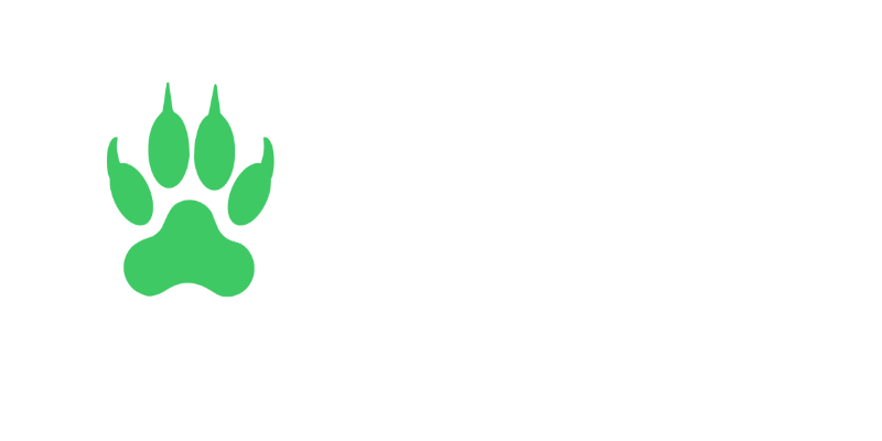 bizoo vpn